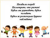 "Посадили огород!" "Посадили огород!".